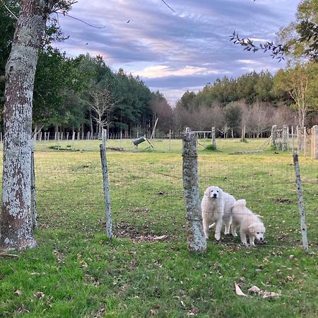 Villa Pinos De La Quebrada Quebrada de los Cuervos Esterno foto