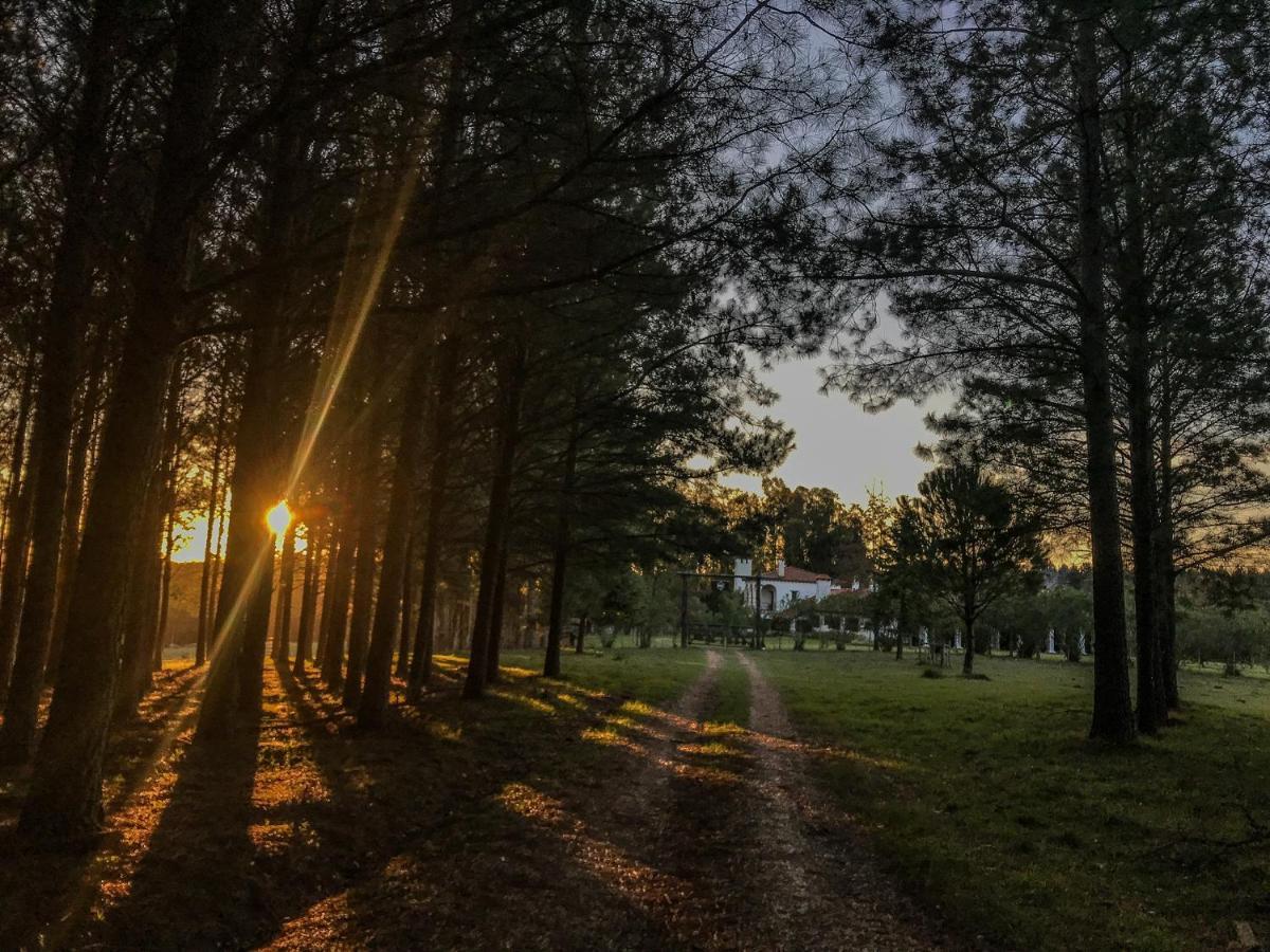 Villa Pinos De La Quebrada Quebrada de los Cuervos Esterno foto