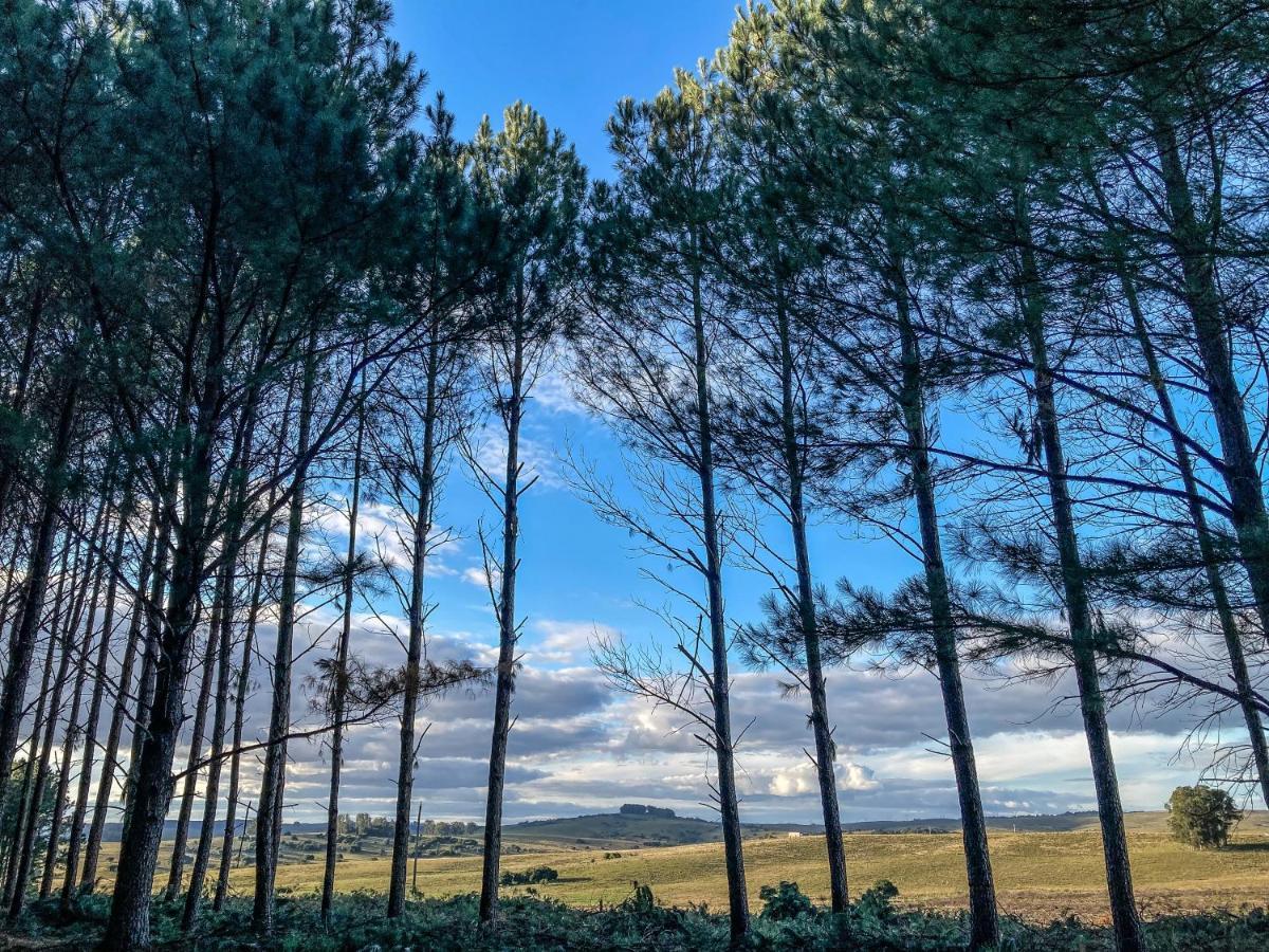 Villa Pinos De La Quebrada Quebrada de los Cuervos Esterno foto