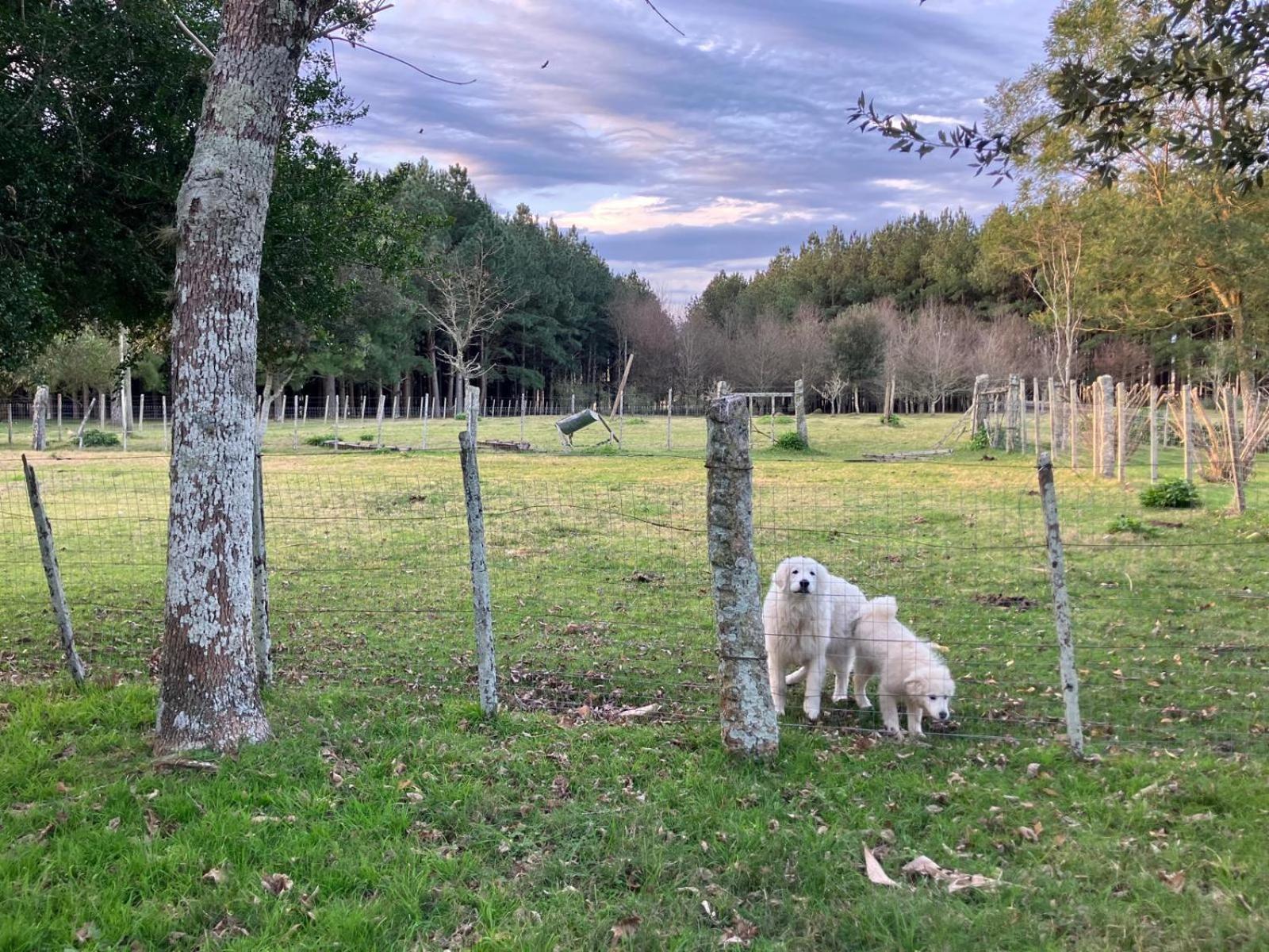 Villa Pinos De La Quebrada Quebrada de los Cuervos Esterno foto