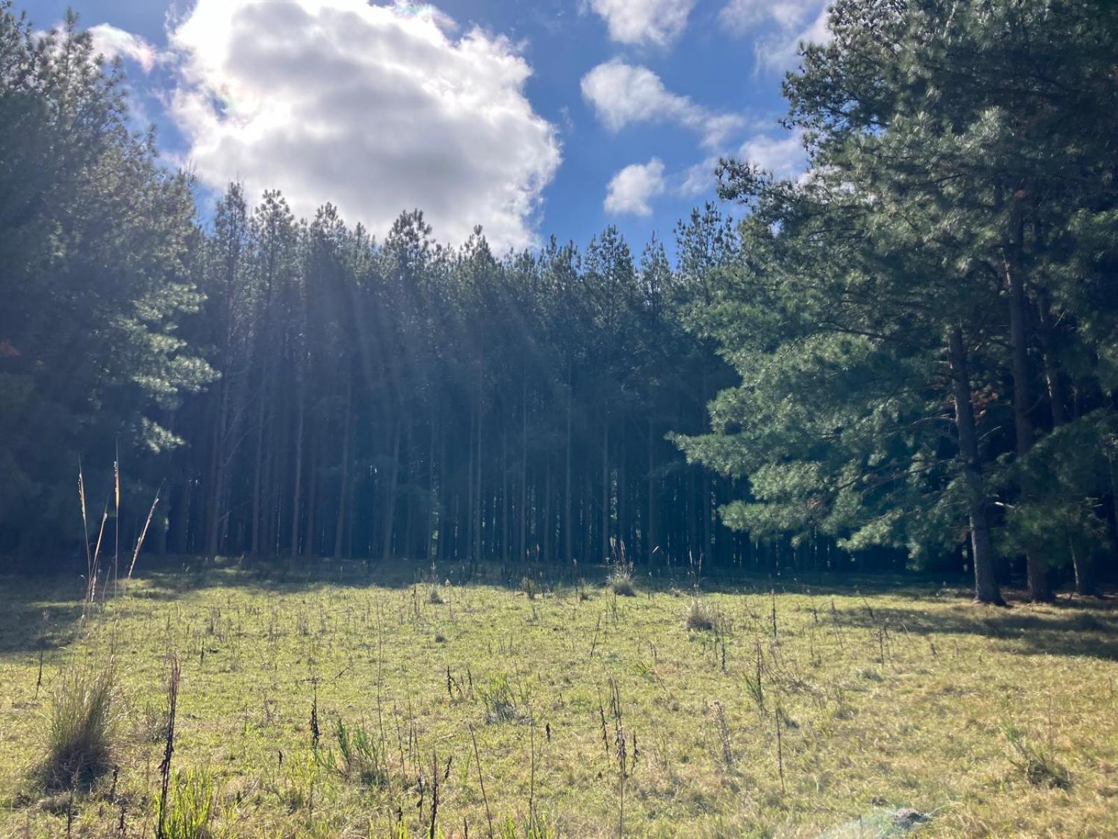 Villa Pinos De La Quebrada Quebrada de los Cuervos Esterno foto