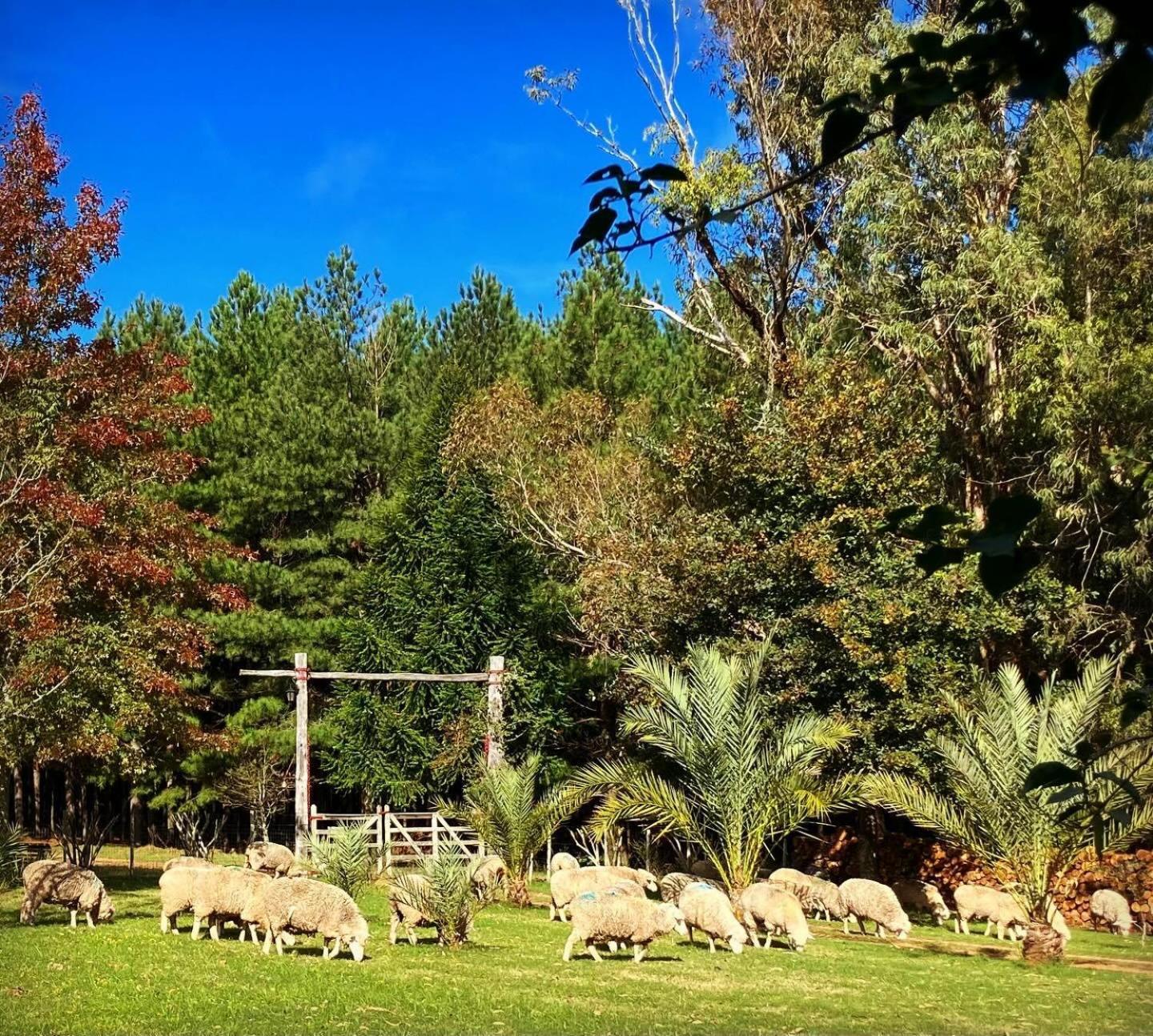 Villa Pinos De La Quebrada Quebrada de los Cuervos Esterno foto
