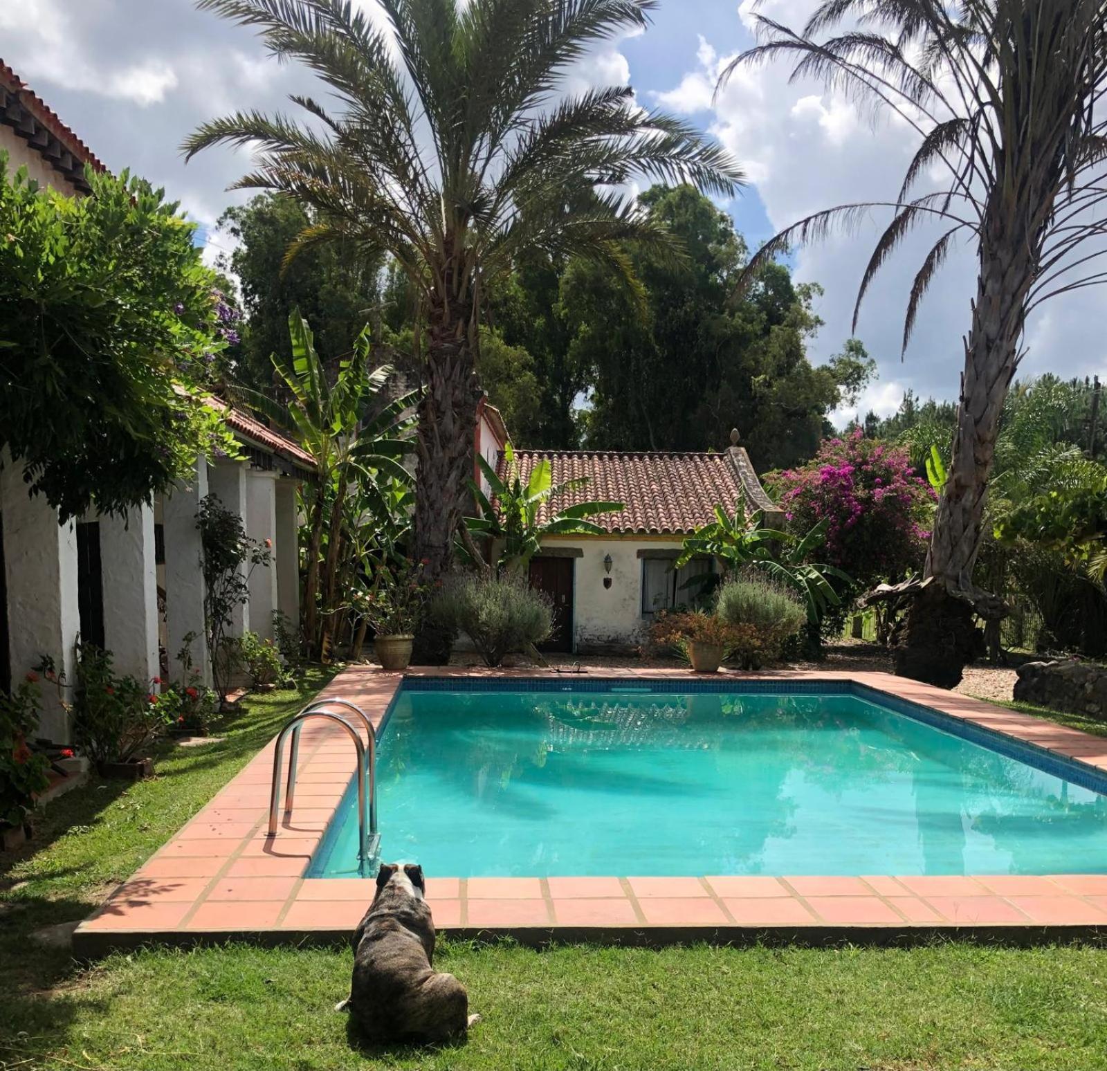 Villa Pinos De La Quebrada Quebrada de los Cuervos Esterno foto