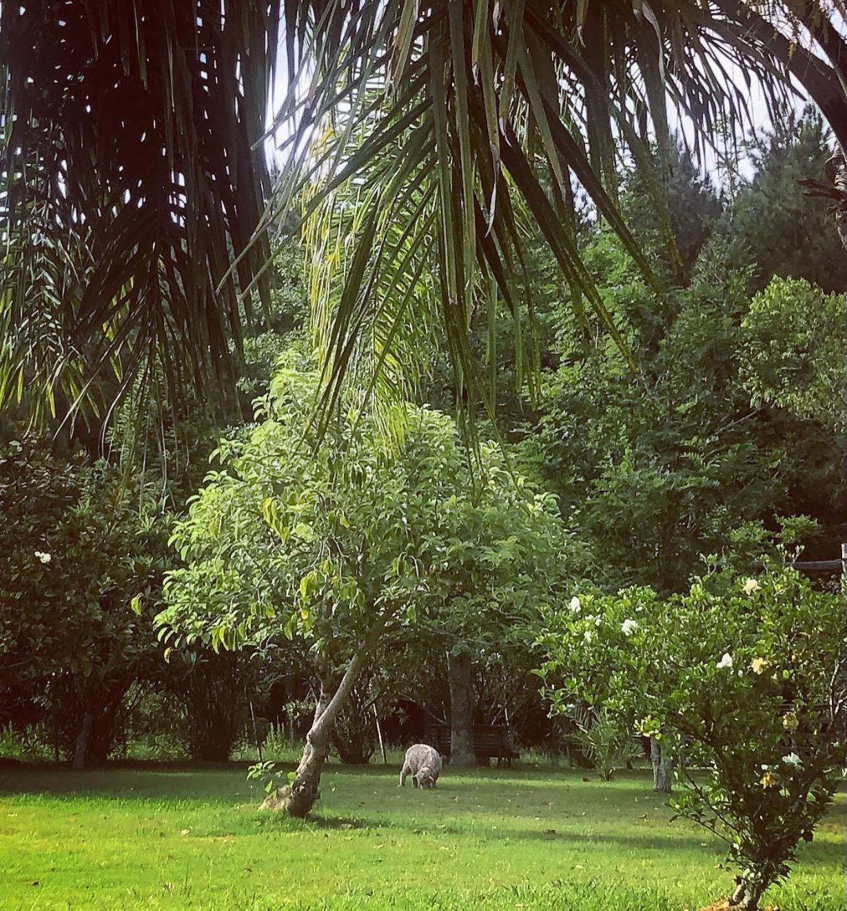 Villa Pinos De La Quebrada Quebrada de los Cuervos Esterno foto