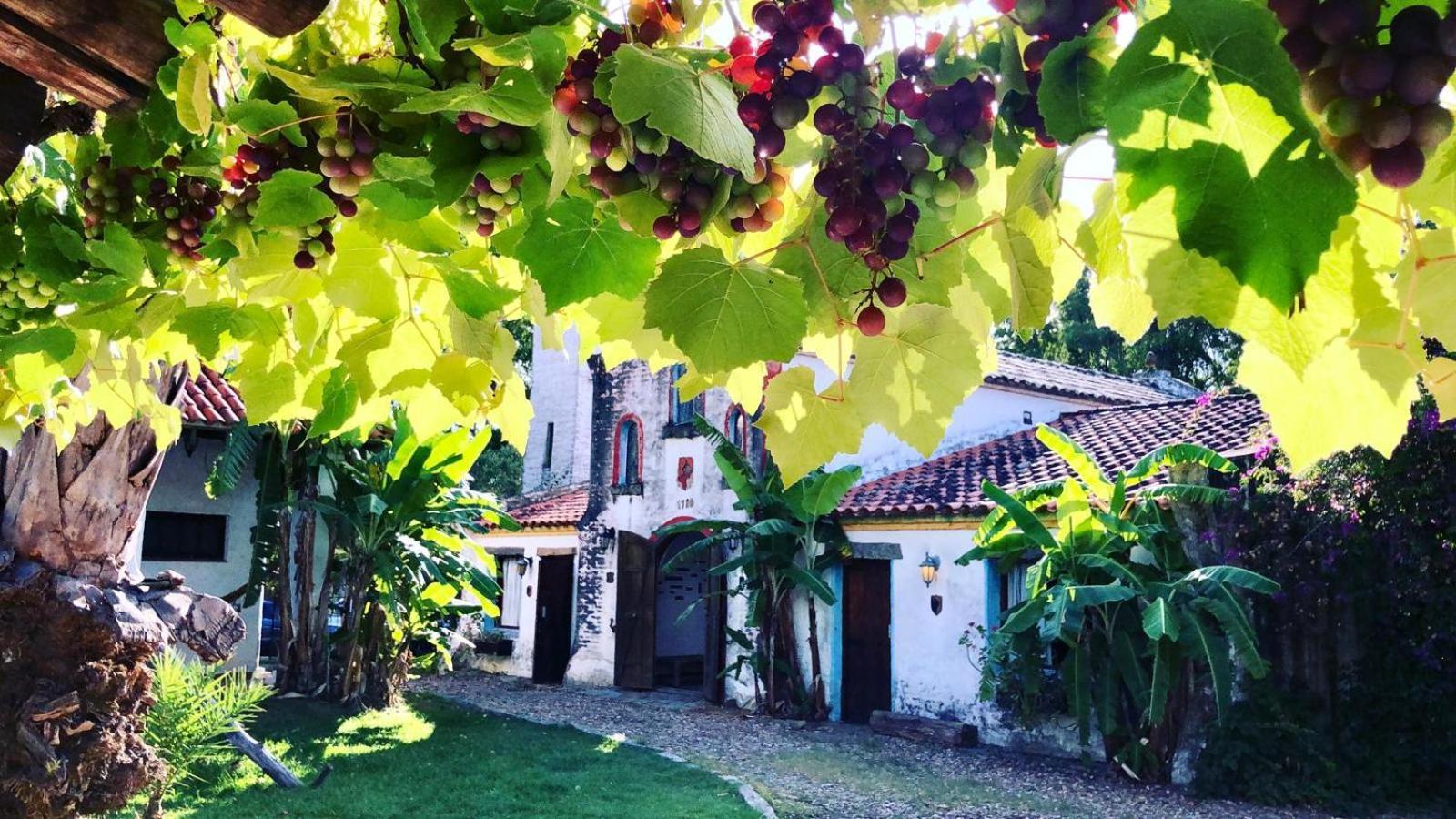 Villa Pinos De La Quebrada Quebrada de los Cuervos Esterno foto