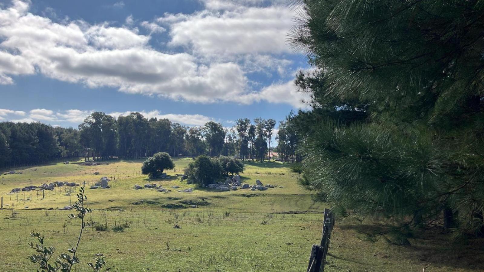 Villa Pinos De La Quebrada Quebrada de los Cuervos Esterno foto
