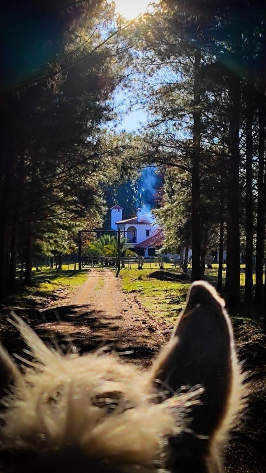 Villa Pinos De La Quebrada Quebrada de los Cuervos Esterno foto
