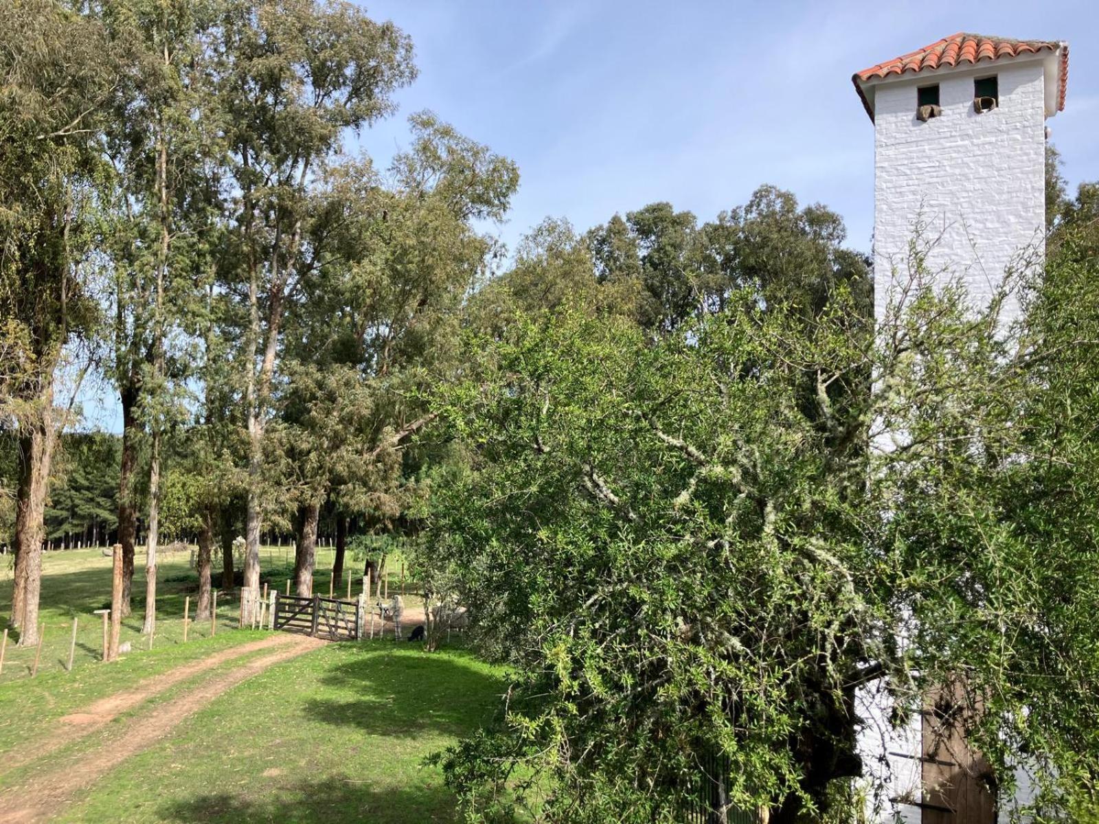 Villa Pinos De La Quebrada Quebrada de los Cuervos Esterno foto